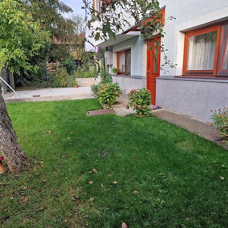 Apartment near center SJJ Exterior foto